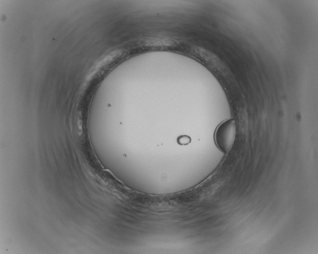 X0000073900731200609082147