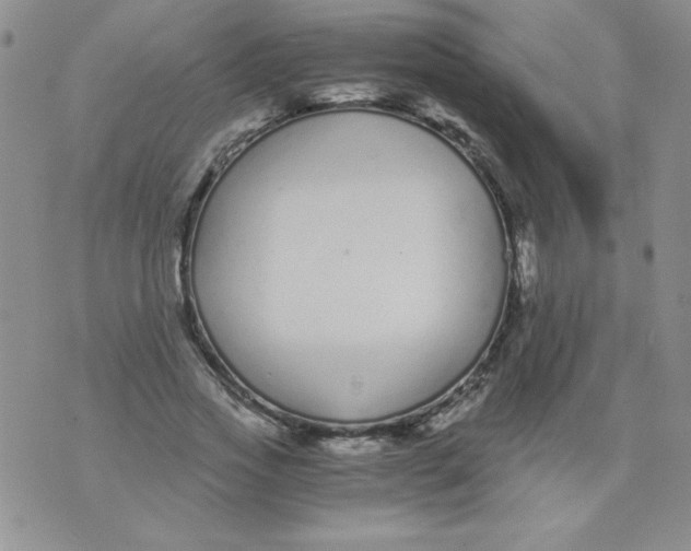 X0000073900733200609082147