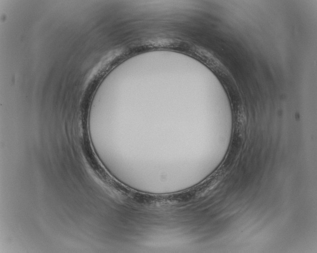 X0000073900734200609082147