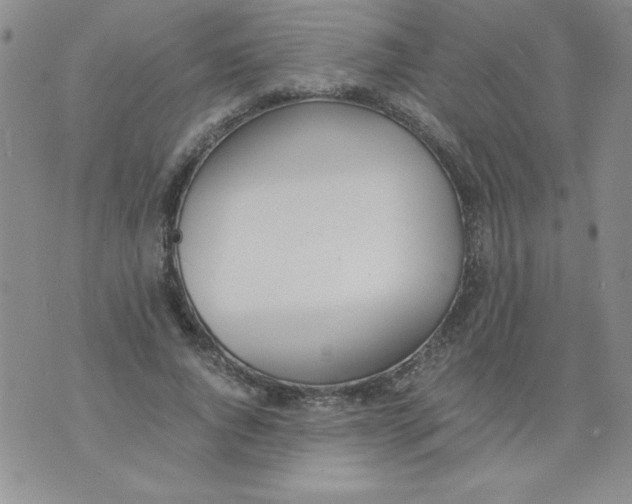 X0000073900736200609082147