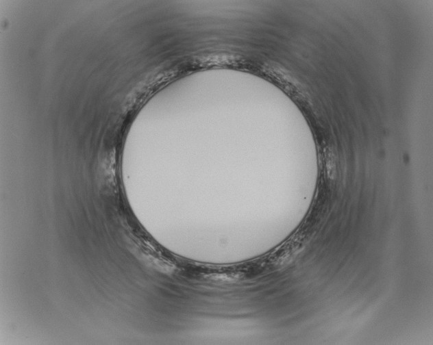 X0000073900737200609082147