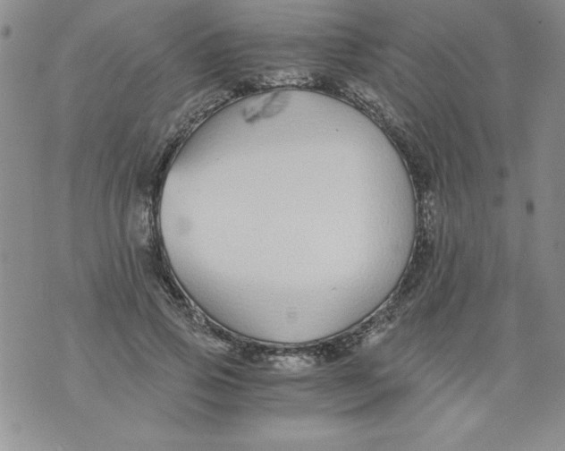 X0000073900741200609082147