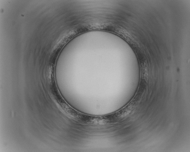 X0000073900742200609082147