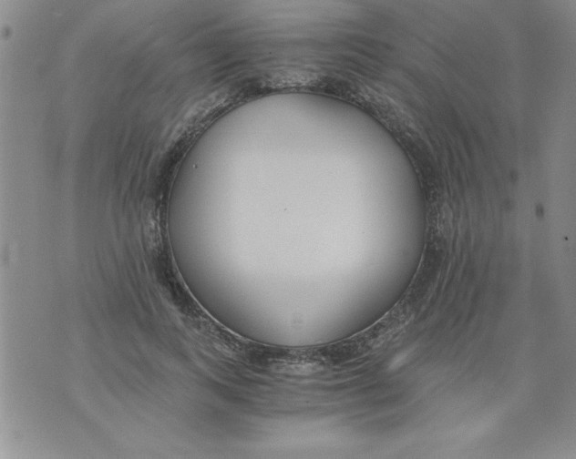 X0000073900743200609082147