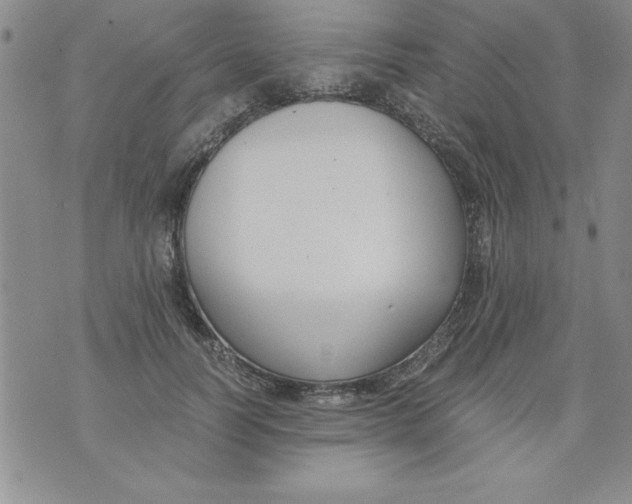 X0000073900746200609082147