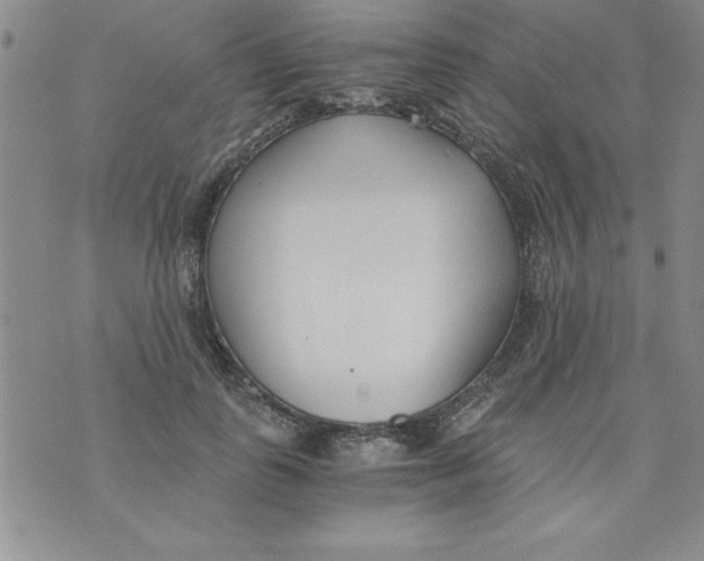 X0000073900747200609082147