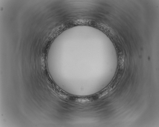 X0000073900749200609082147