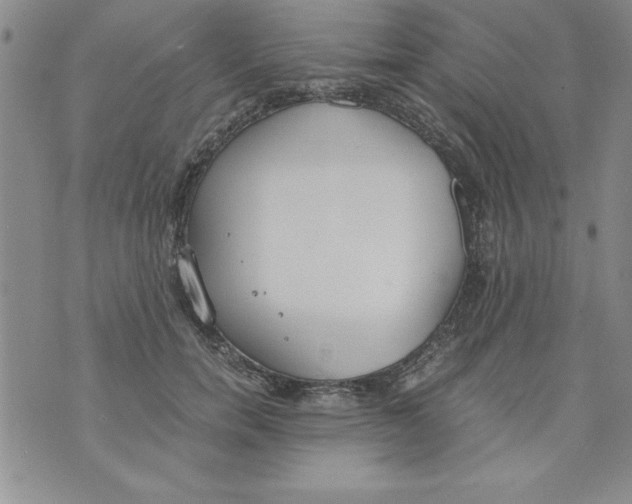 X0000073900750200609082147