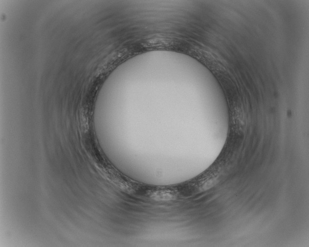 X0000073900751200609082147