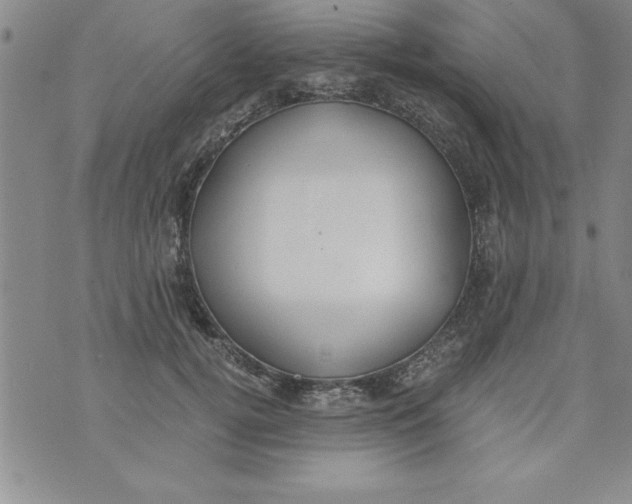 X0000073900752200609082147