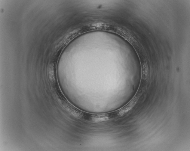 X0000073900754200609082147