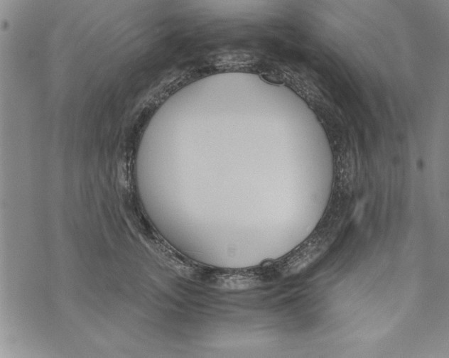 X0000073900755200609082147