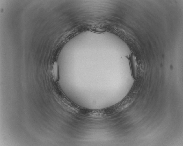 X0000073900756200609082147