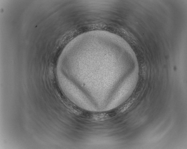 X0000073900757200609082147