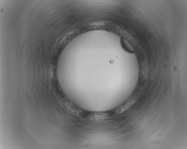 X0000073900758200609082147