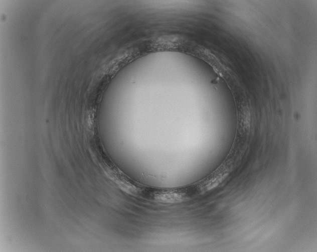 X0000073900759200609082147