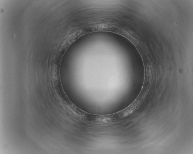 X0000073900760200609082147