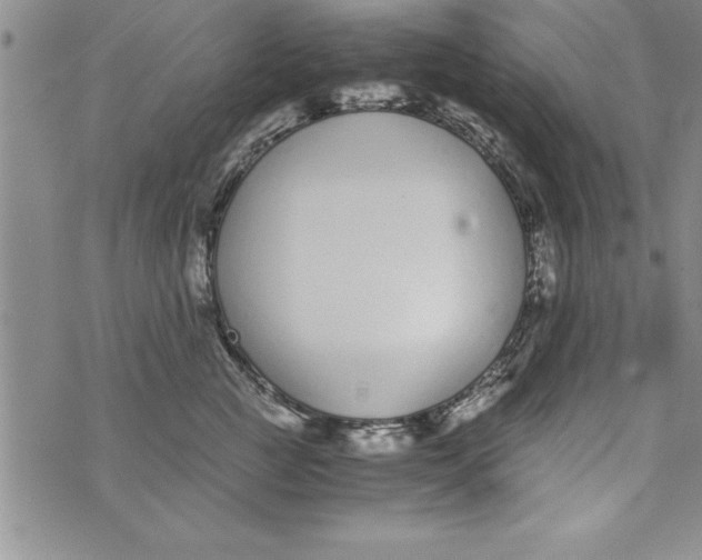 X0000073900761200609082147