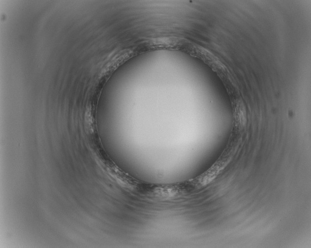 X0000073900764200609082147