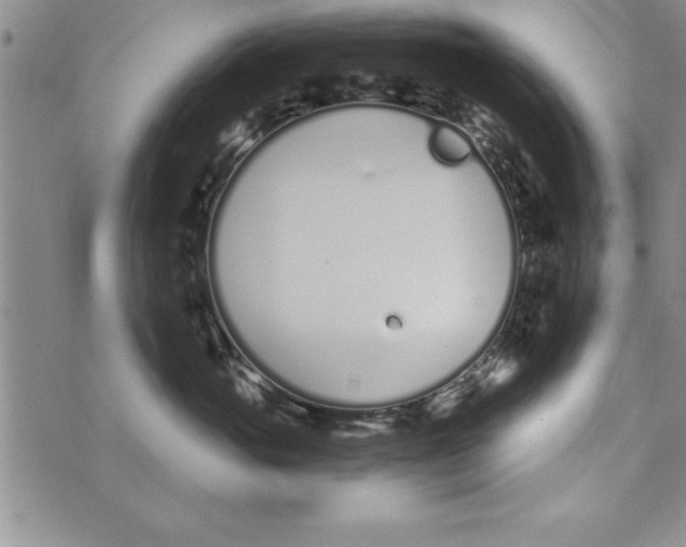 X0000073900765200609082148