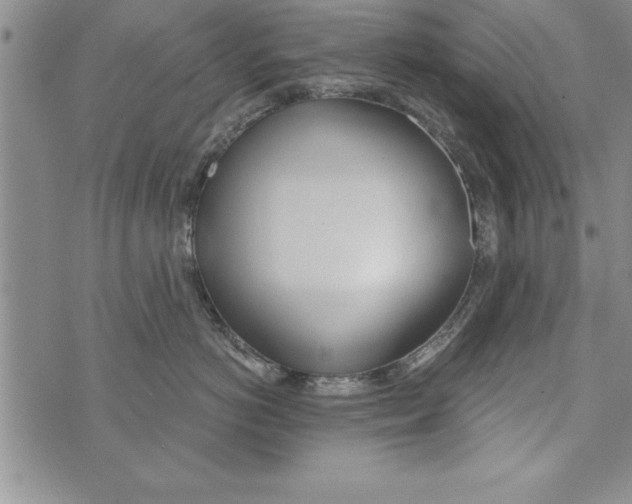 X0000073900766200609082148