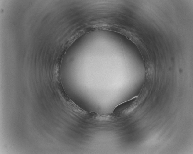 X0000073900767200609082148