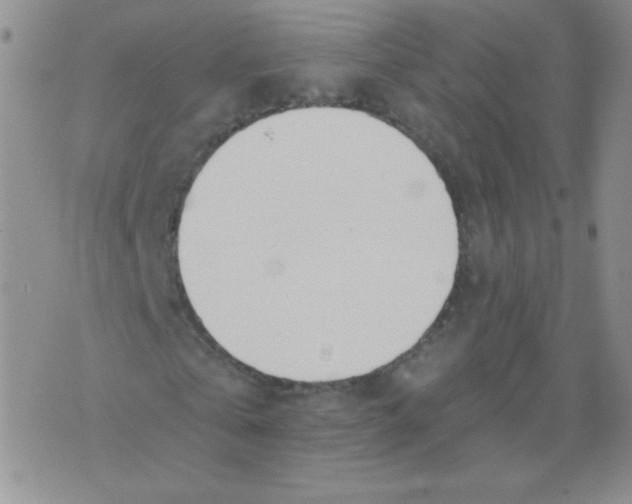 X0000073900769200609082147