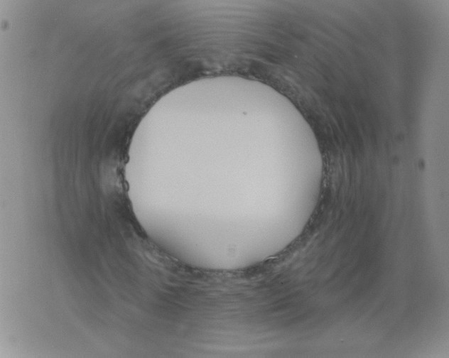 X0000073900770200609082147