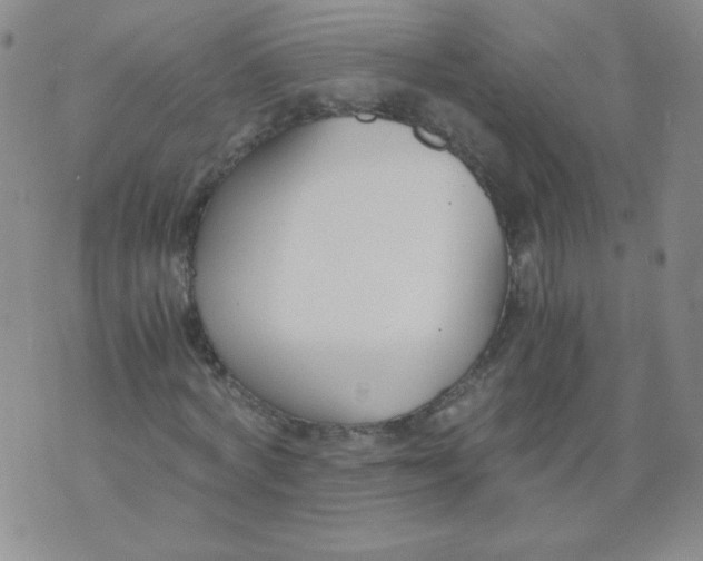 X0000073900772200609082147