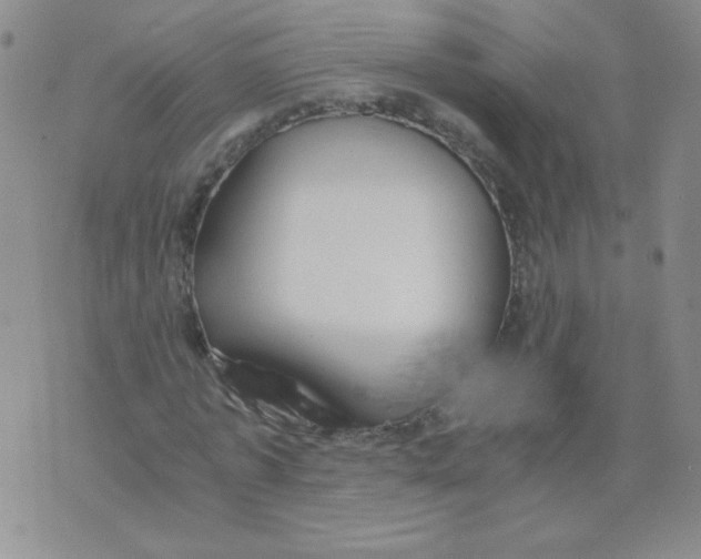 X0000073900773200609082147