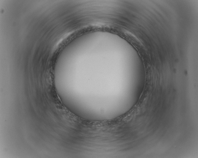 X0000073900776200609082147