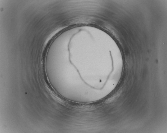 X0000073900779200609082147