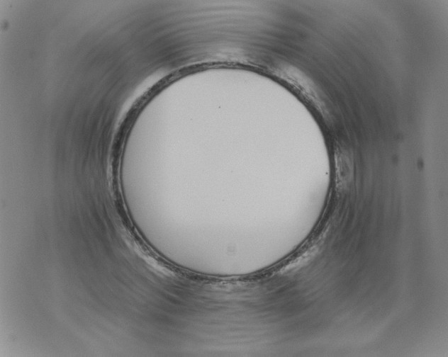 X0000073900780200609082147