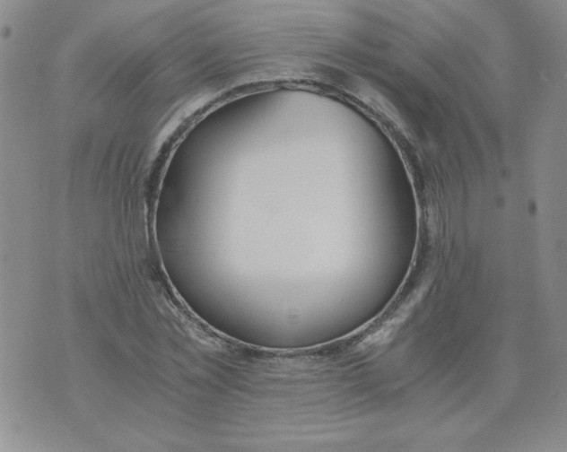 X0000073900781200609082147