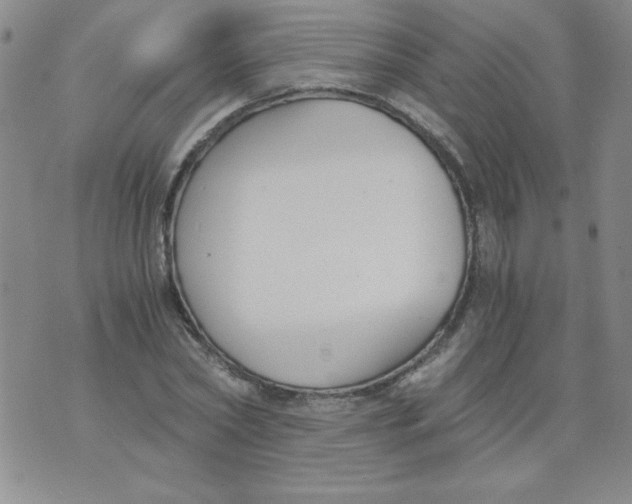 X0000073900782200609082147