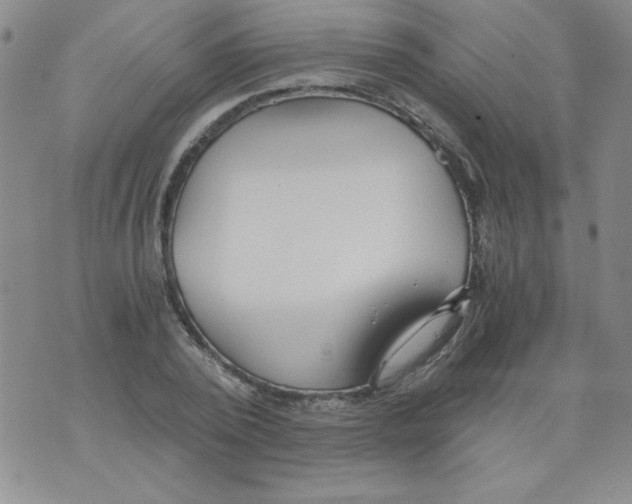 X0000073900784200609082147