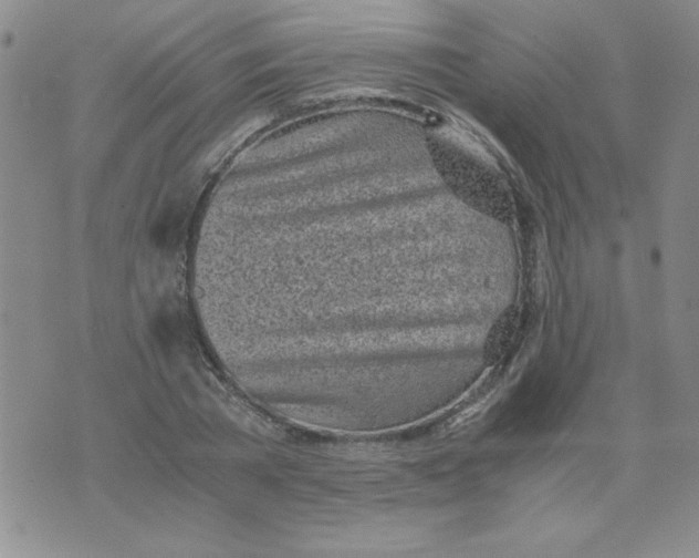 X0000073900785200609082147