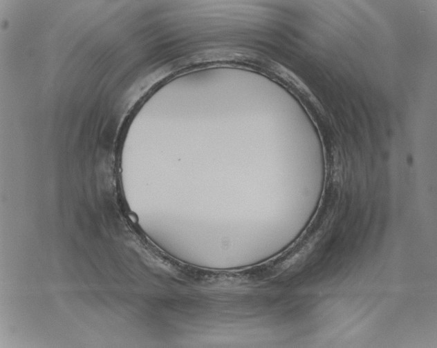 X0000073900786200609082146