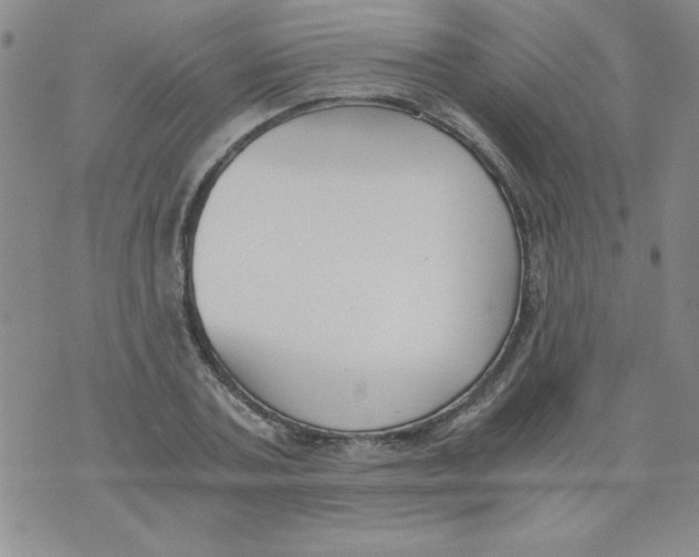 X0000073900787200609082146