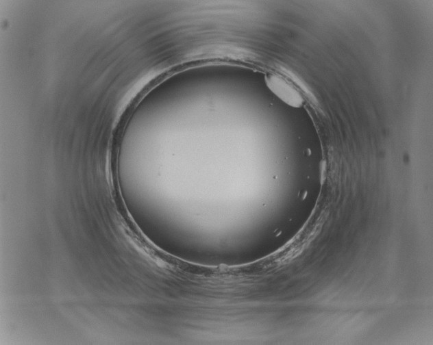 X0000073900788200609082146