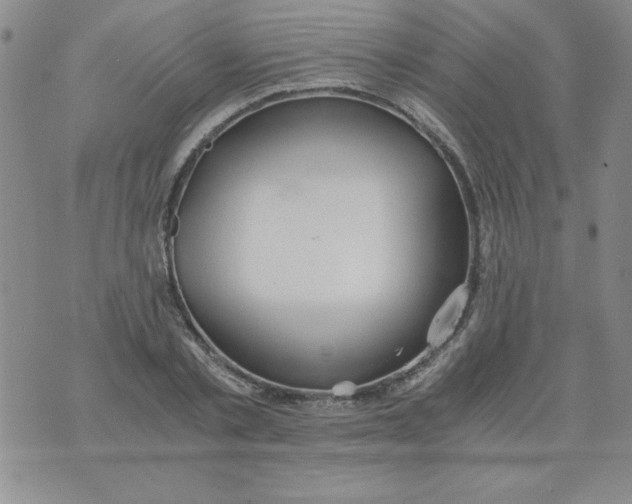 X0000073900789200609082146