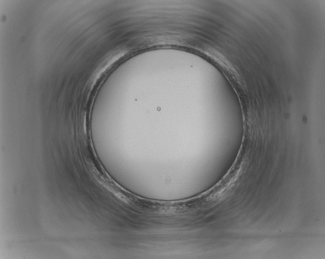 X0000073900790200609082146