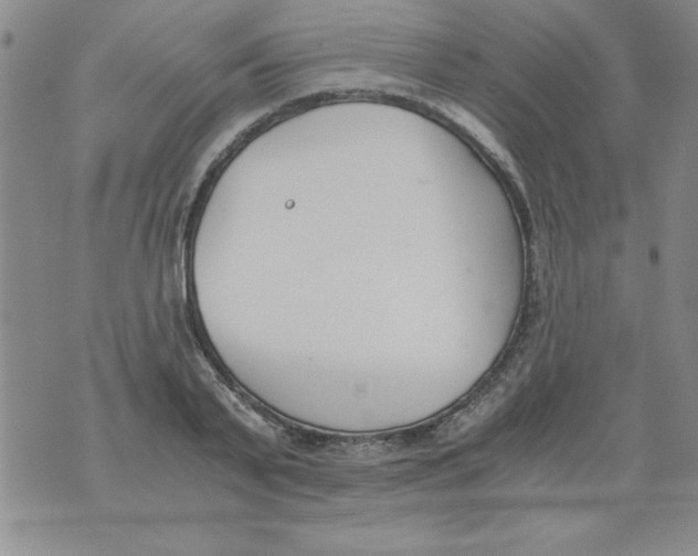 X0000073900791200609082146