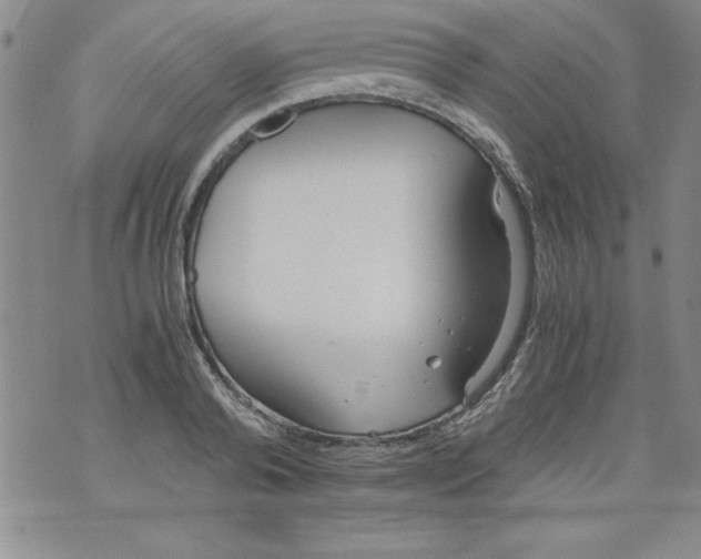 X0000073900792200609082146