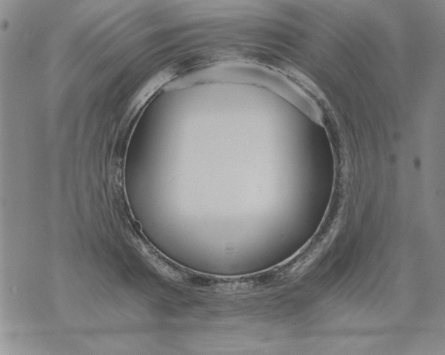 X0000073900793200609082146