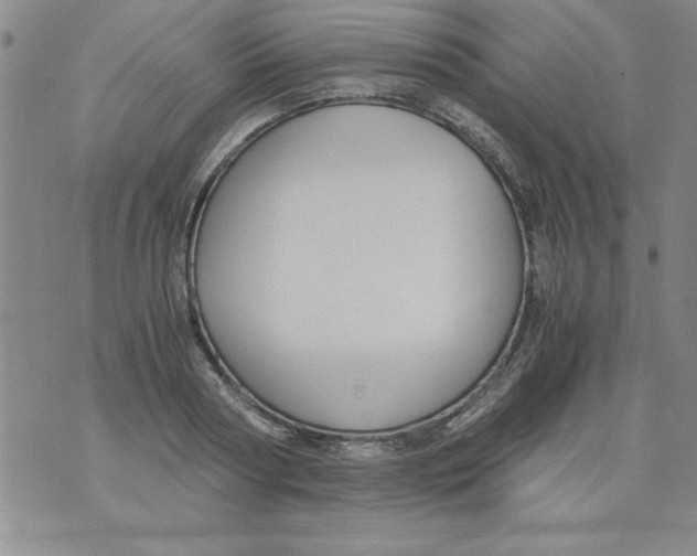 X0000073900794200609082146