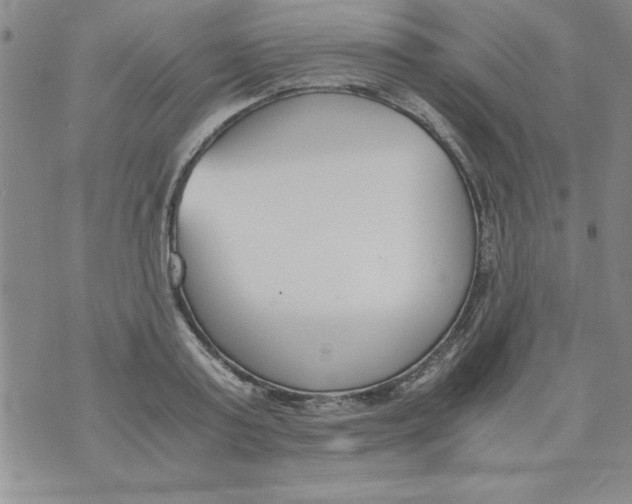 X0000073900795200609082146