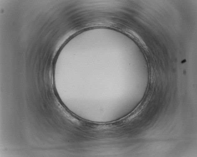 X0000073900796200609082146