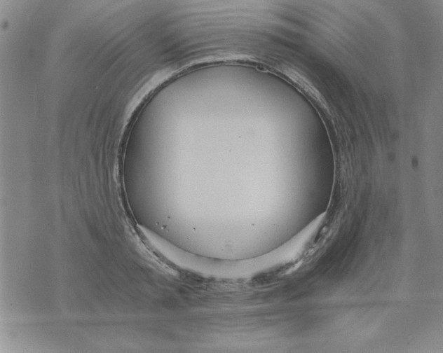 X0000073900797200609082146