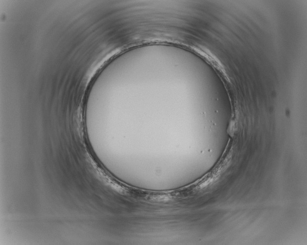 X0000073900798200609082146